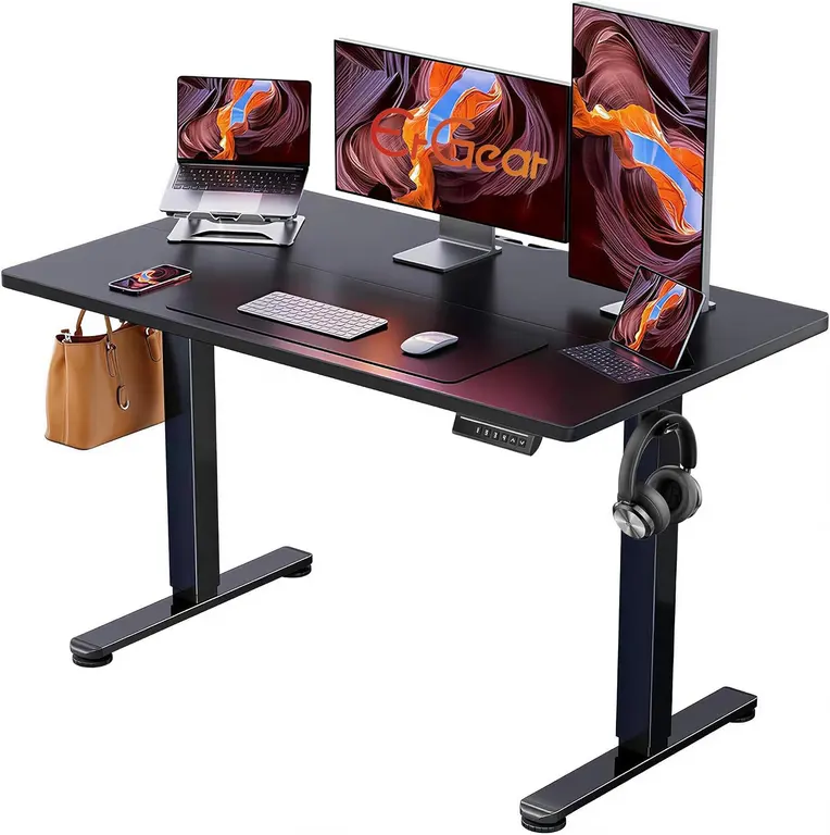 ErGear Height Adjustable Electric Standing Desk, 48 x 24 Inches Sit Stand up Desk, Memory Computer Home Office Desk, Black