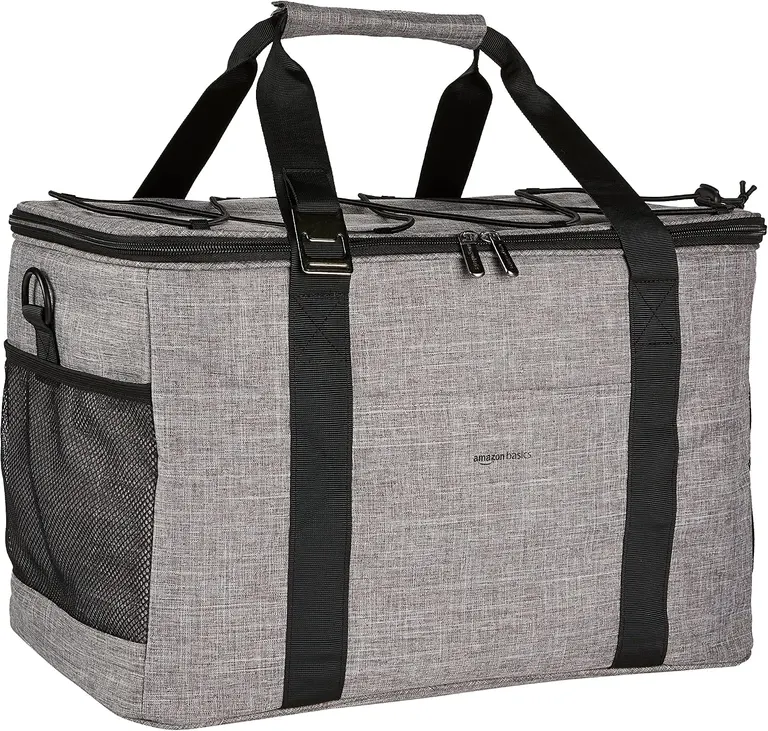 Amazon Basics Soft Insulated Cooler